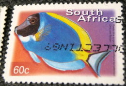 South Africa 2000 Acanthurus Leucosternon Fish 60c - Used - Used Stamps