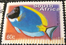 South Africa 2000 Acanthurus Leucosternon Fish 60c - Used - Used Stamps