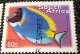 South Africa 2000 Acanthurus Leucosternon Fish 60c - Used - Used Stamps