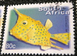 South Africa 2000 Lactoria Cornuta Fish 80c - Used - Used Stamps