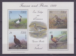 Ireland 1989 Fauna And Flora M/s ** Mnh (22662) - Hojas Y Bloques