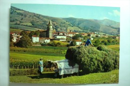 Delcampe - D 64 - Aïnhoa - Ainhoa