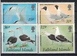 Falkland Islands. Gulls And Terns. 1993. MNH Set. SCV = 8.50 - Albatros