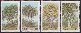 Ciskei - 1984 - Indigenous Trees - Complete Set - Árboles