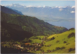 SUISSE,SWITZERLAND,SVIZZERA,SCHWEIZ,HELVETIA,SWISS ,VAUD,MONTREUX,TERRITET - Montreux