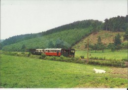 Erezée -- Tramway Touristique De L´ Aisne. - Flânerie Dans Les Prés De Blier (2 Scans) - Erezée