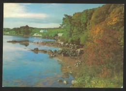 IRELAND Letterdife Roundstone Connemara Galway Connacht 1982 - Galway