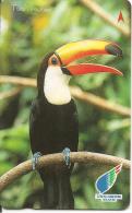 CARTE-MAGNETIQUE-SINGAPOUR10$-TOUCAN-TB E- - Parrots