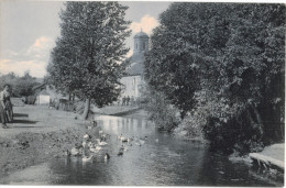 Carte Postale Ancienne De SIGNEULX - PAYSAGE DES ARDENNES - Musson