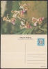 1978-EP-20 CUBA 1978. Ed.121e. MOTHER DAY SPECIAL DELIVERY. POSTAL STATIONERY. ANTONIO MACEO. FLORES. FLOWERS. UNUSED. - Covers & Documents