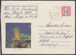 1979-EP-45 CUBA 1979. Ed.184a. POSTAL STATIONERY. ENTERO POSTAL. J. MARTI. CORALES. MORON. CIEGO AVILA. USED. - Cartas & Documentos