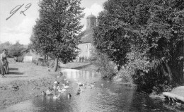 Carte Postale Ancienne De PAYSAGE DES ARDENNES - SIGNEULX - Musson