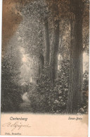 Carte Postale Ancienne De CORTENBERG - SOUS BOIS - Kortenberg