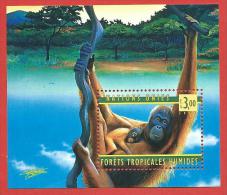 ONU - NAZIONI UNITE GINEVRA MNH - 1998 - W.H.O. Forets Tropicales Humides - 3,00 Fr. - Michel NT-GE BL10 - Hojas Y Bloques