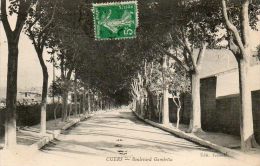 CPA - CUERS (83) - Les Beaux Arbres Du Boulevard Gambetta - Cuers