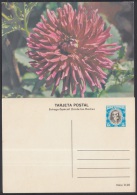 1980-EP-47 CUBA 1980. Ed.125j. MOTHER DAY SPECIAL DELIVERY. POSTAL STATIONERY. ANTONIO MACEO. FLORES. FLOWERS. UNUSED - Cartas & Documentos