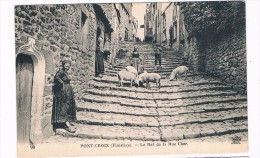 FR-3017     PONT-CROIX : Le Bas De La Rue Cher ( Varken, Porc, Schwein, Pig) - Pont-Croix