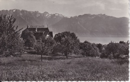 HÔTEL  PENSION  BEAU-SITE  -  CORSEAUX  Sur  VEVEY  -  CPSM - Corseaux