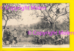 TOP ECOLE HORTICULTURE POTAGER – GROENSELHOF WELDADIGHEIDS-SCHOOL Ca1900 = RUISELEDE TOPSTAAT 1760 - Ruiselede