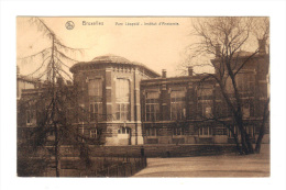 Belgique: Bruxelles, Brussels, Parc Leopold, Institut D' Anatomie (15-2448) - Educazione, Scuole E Università