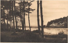 Delcampe - CAPBRETON - 40  -Entrée Du Canal  - ENCH** - - Capbreton