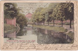 WAGENINGEN - Gezicht Op Het Spijk - 2 Scans - Daté 1903 - Wageningen