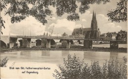 REGENSBURG-BLICK VOM SKT KATHARINENSPITAL GARTEN - Regensburg