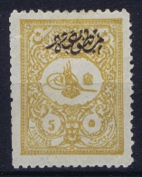 Turkey  1901 Mi 113 A  MH.* Has A Small Tear At Left Top - Neufs