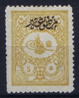 Turkey  1901 Mi 113 A  MH.* Has A Small Tear At Left Top - Unused Stamps