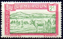 CAMEROUN 1925  Cattle Fording River  -  2c - Green & Red On Green  MH - Nuevos