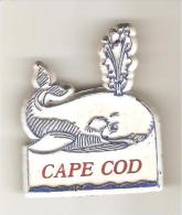 MAGNET ETATS UNIS CAPE COD BALEINE WHALE - Animales & Fauna