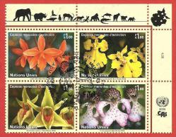 ONU - NAZIONI UNITE GINEVRA USATO FDC - 2005 - Specie In Via Di Estinzione - 1,00 Fr. X 4 - Michel NT-GE 510-513 - Used Stamps