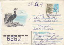23217- CORMORANT, BIRD, COVER STATIONERY, 1983, RUSSIA - Albatros