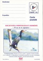 23243- GREAT CORMORANT, BIRDS, POSTCARD STATIONERY, 2000, ROMANIA - Marine Web-footed Birds