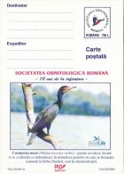 23243- GREAT CORMORANT, BIRDS, POSTCARD STATIONERY, 2000, ROMANIA - Albatros