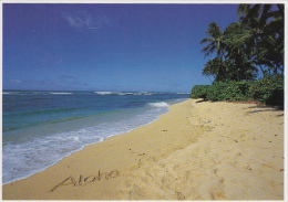 23275- HAWAII BEACH - Oahu