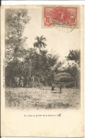 Soudan. Un Coin Du Jardin De La Mission à Kita. 1908. - Mali