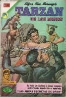 12129 MAGAZINE REVISTA MEXICANAS COMIC TARZAN DE LOS MONOS Nº 321 AÑO 1972 ED EN NOVARO - Fumetti Antichi