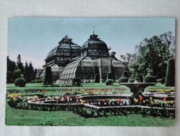 Austria Wien Palmenhaus Schönbrunn  Stamps 1963   A 20 - Otros & Sin Clasificación