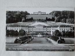 Austria Wien Schönbrunn Mit Gloriette  Stamp 1962  A 20 - Palacio De Schönbrunn