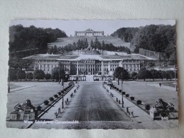 Austria Wien Schönbrunn Gesamtansicht  Stamp 1963  A 20 - Palacio De Schönbrunn