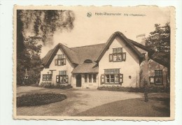 Heide Kapel - Waasmunster  *  Villa "Vogelenzang - Lusthof "Lekkerbek" (Christine-Julia De Maere)   (CPM) - Waasmunster