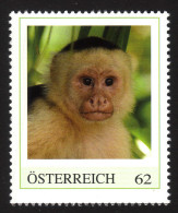 ÖSTERREICH 2013 ** Weißschulter-Kapuzineraffe / Cebus Capucinus - PM Personalized Stamp MNH - Personalisierte Briefmarken