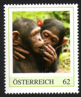 ÖSTERREICH 2014 ** Affen, Schimpansen - PM Personalized Stamp MNH - Personalisierte Briefmarken