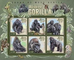 Sierra Leone. 2015 Gorillas. (011a) - Gorilles