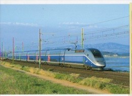 CP Trains - 11 Aude - Prestige Du TGV N° 63 - Perpignan/Paris Longe L´étang De Sigean - Sigean