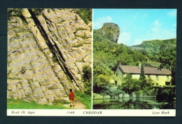 ENGLAND  -  Cheddar  Dual View  Unused Postcard As Scan - Cheddar