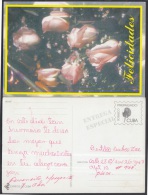 1999-EP-78 CUBA 1999. Ed.29a. MOTHER DAY SPECIAL DELIVERY. POSTAL STATIONERY. FLORES. FLOWERS. USED. - Cartas & Documentos