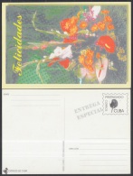 1999-EP-80 CUBA 1999. Ed.29d. MOTHER DAY SPECIAL DELIVERY. POSTAL STATIONERY. FLORES. FLOWERS. UNUSED. - Briefe U. Dokumente