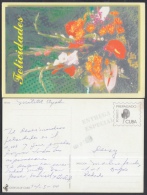 1999-EP-81 CUBA 1999. Ed.29d. MOTHER DAY SPECIAL DELIVERY. POSTAL STATIONERY. FLORES. FLOWERS. USED. - Cartas & Documentos